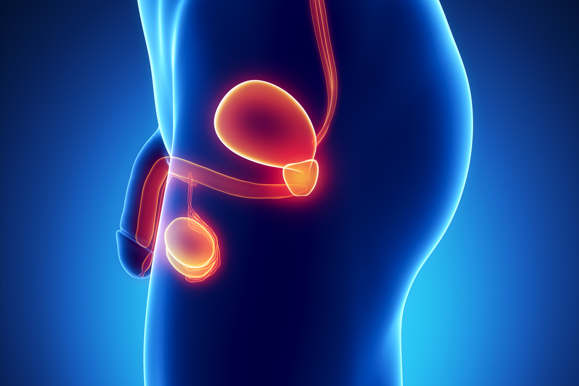 am vindecat prostatita cu remedii populare médicament pour la prostate sans ordonnance